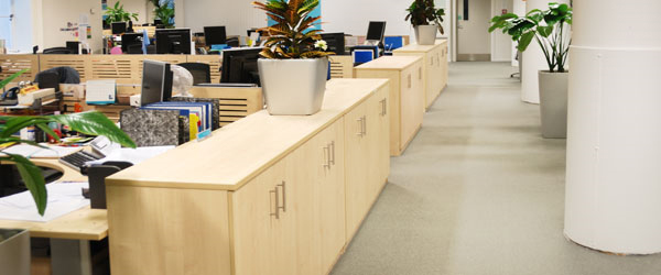 Commercial Carpet Cleaning Silver Spring,  MD