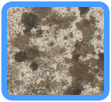 Silver Spring,  MD Water Damage Restoration